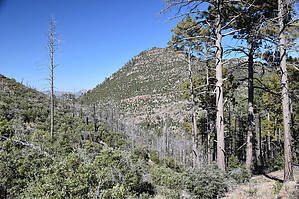 feature photo