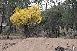 feature photo