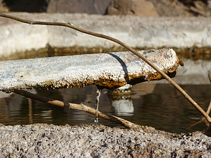 feature photo