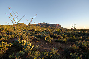 feature photo