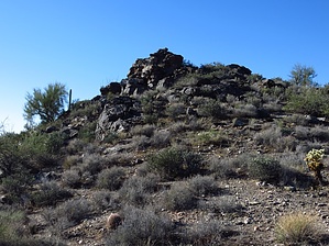 feature photo