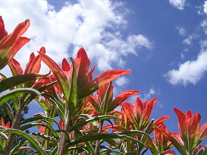 feature photo