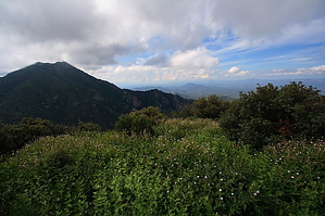 feature photo