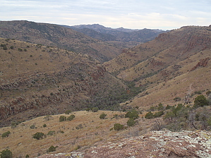 feature photo