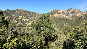 feature photo
