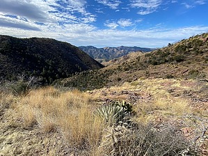 feature photo
