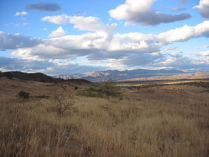 feature photo