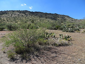 feature photo