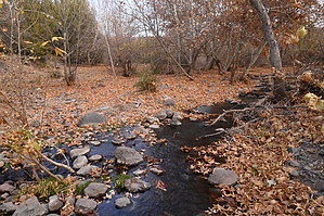 feature photo