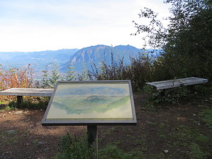 feature photo