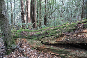 feature photo