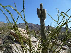 feature photo