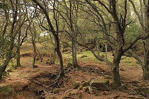 feature photo
