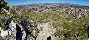 feature photo