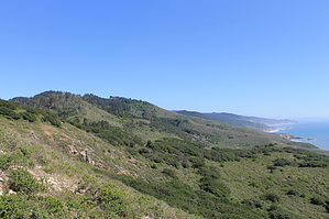 feature photo