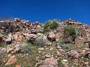 feature photo