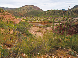 feature photo