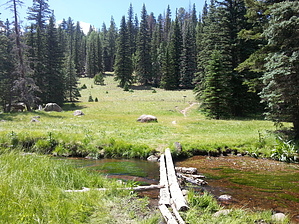 feature photo