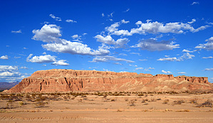 feature photo
