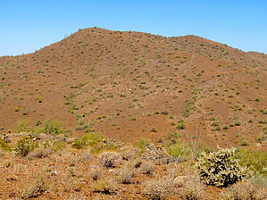 feature photo