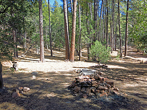feature photo