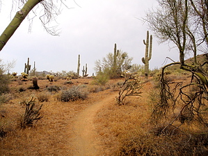 feature photo