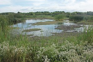 feature photo