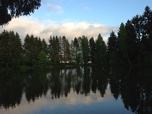 feature photo