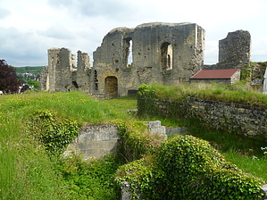 feature photo