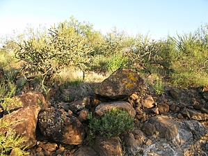 feature photo
