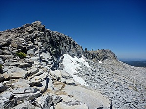 feature photo