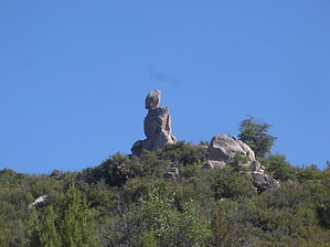feature photo