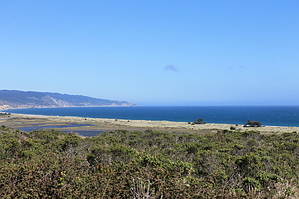 feature photo