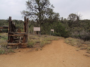 feature photo