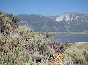 feature photo