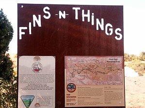 feature photo