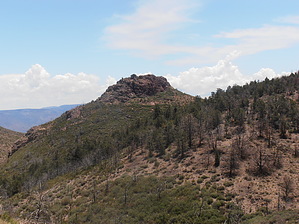 feature photo
