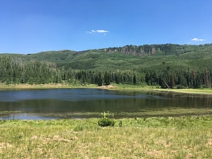 feature photo