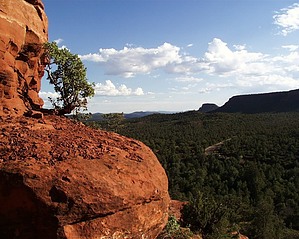 feature photo