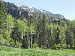 feature photo