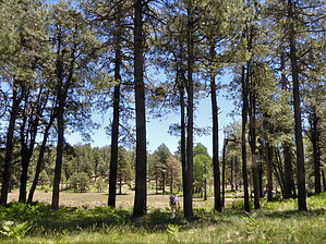 feature photo