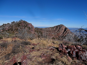 feature photo
