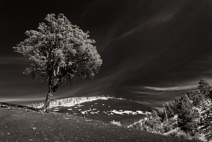 feature photo