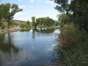 feature photo