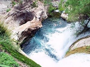 feature photo