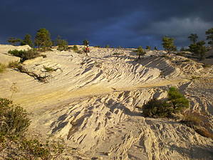 feature photo