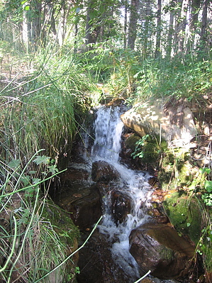 feature photo