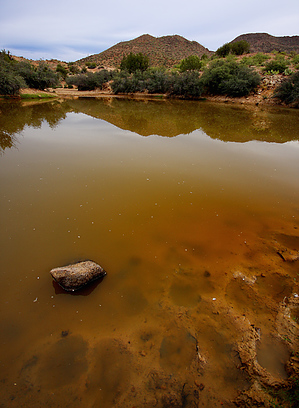 feature photo