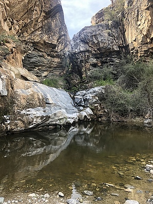 feature photo