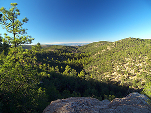 feature photo